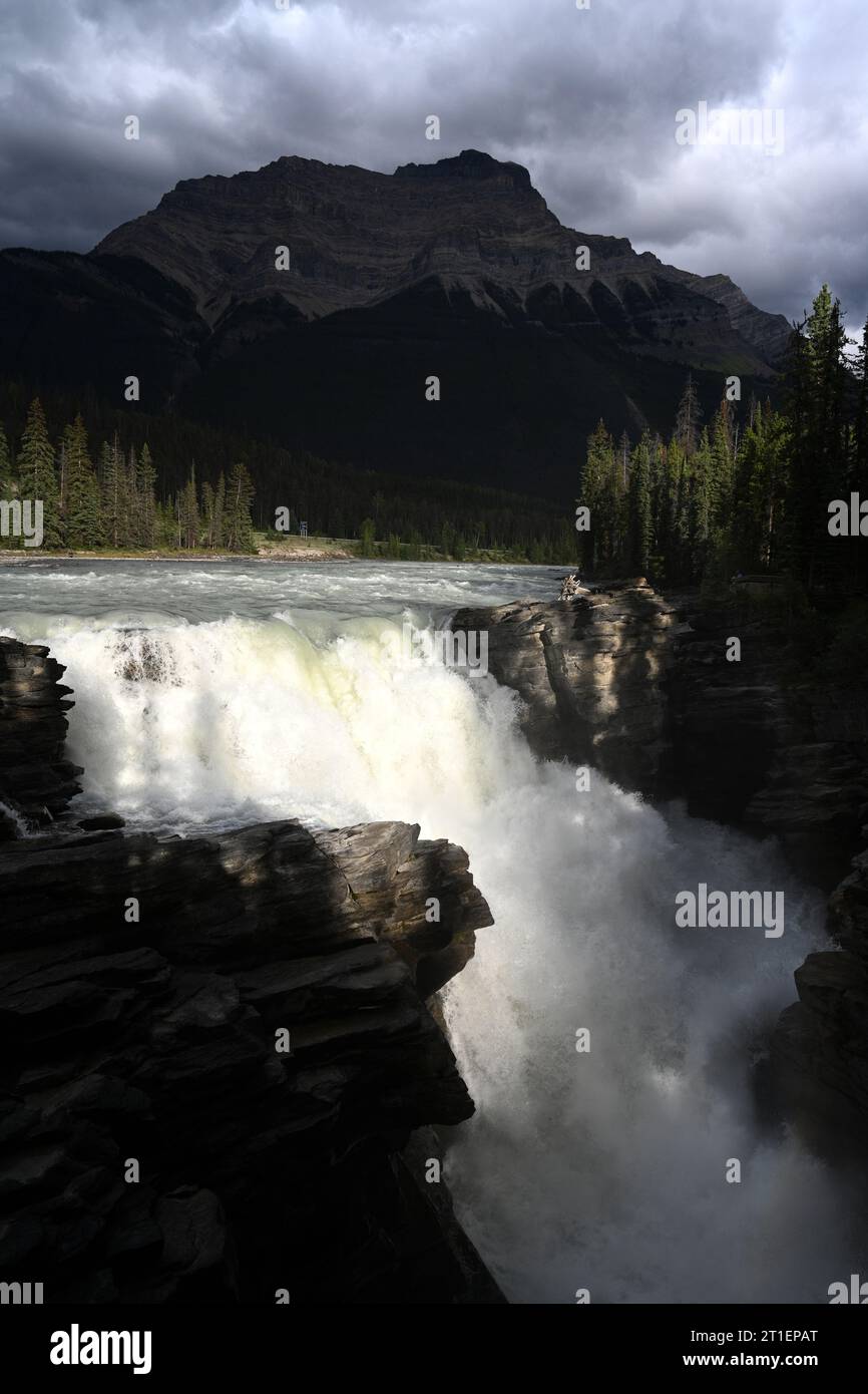Athabasca Falls est une chute d'eau située dans le parc national Jasper, en Alberta, au Canada. Banque D'Images