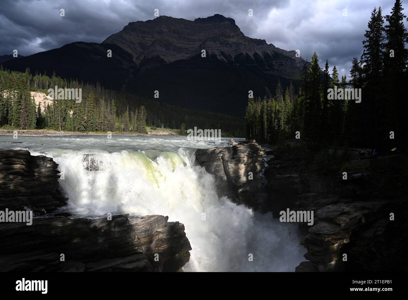 Athabasca Falls est une chute d'eau située dans le parc national Jasper, en Alberta, au Canada. Banque D'Images
