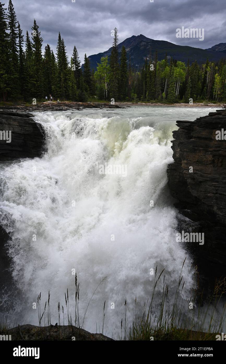 Athabasca Falls est une chute d'eau située dans le parc national Jasper, en Alberta, au Canada. Banque D'Images