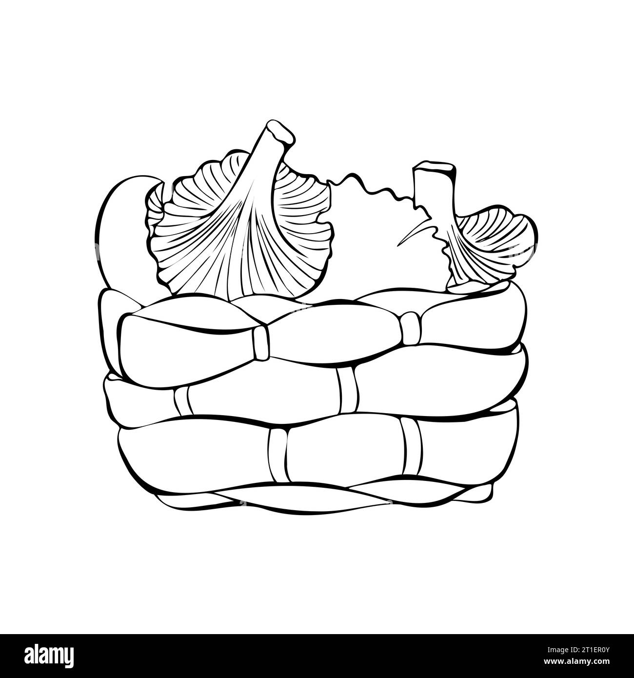 Panier avec des champignons chanterelles, dessin de contour de doodle dessiné à la main. Illustration vectorielle Illustration de Vecteur