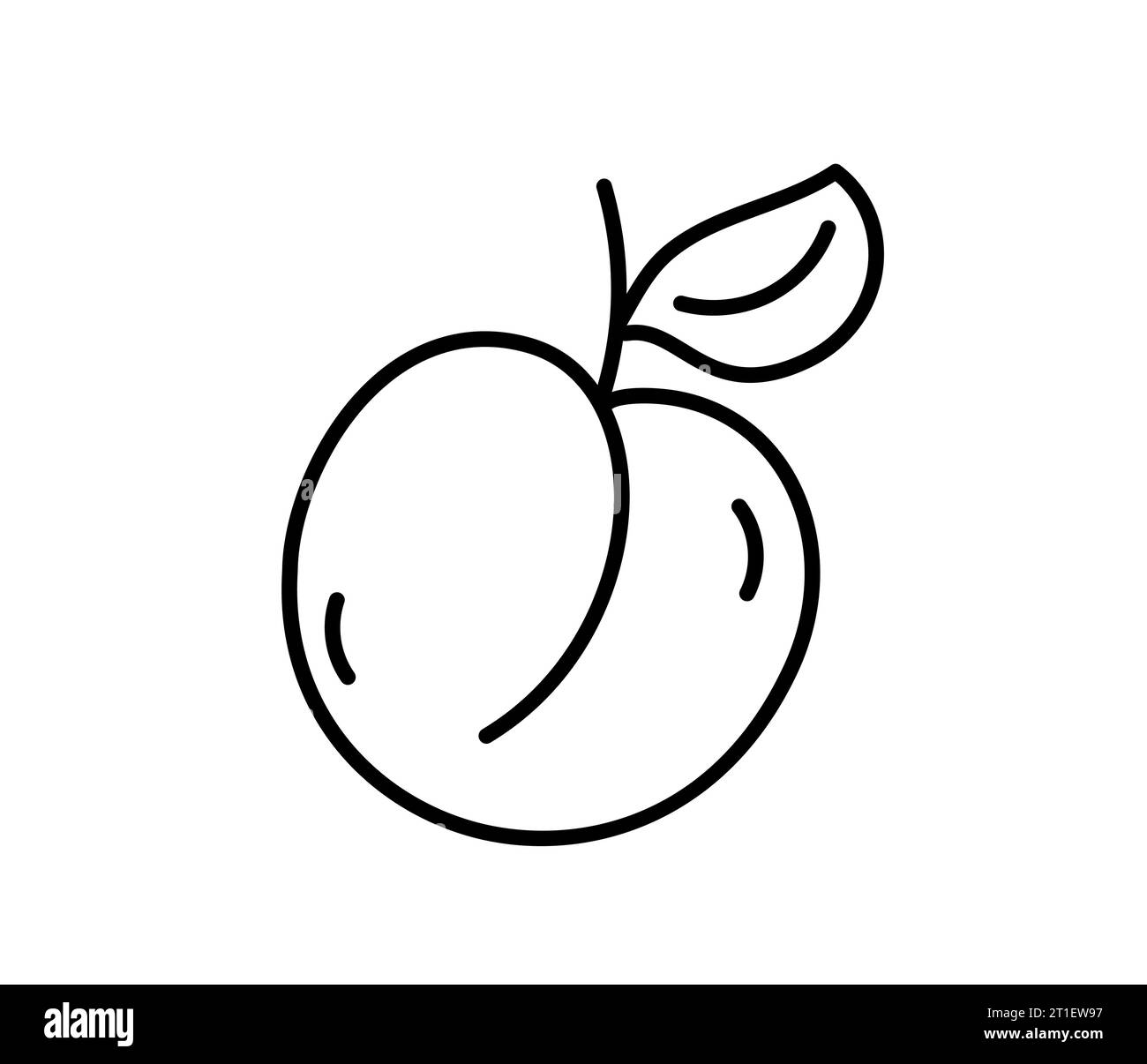 Pêche de ligne dessinée à la main, illustration de vecteur d'icône de contour de fruit d'abricot, convient pour le livre de coloriage, logo, illustration, autocollant, couverture. Illustration de Vecteur