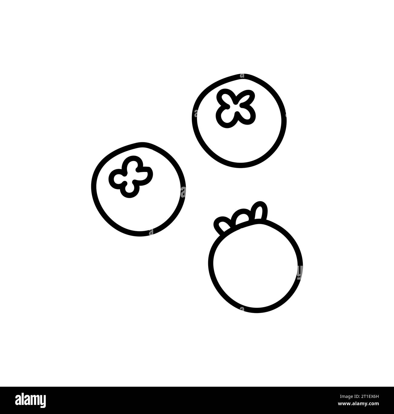 Ligne dessinée à la main myrtille fruits baies contour icône vecteur doodle illustration, convient au livre de coloriage, logo, illustration, autocollant, couverture. Illustration de Vecteur