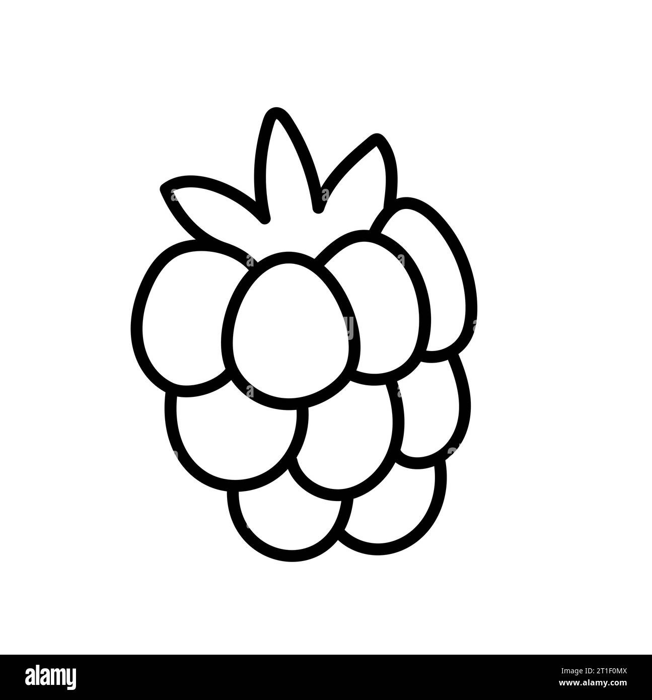 Ligne dessinée à la main framboises fruits baies contour icône vecteur doodle illustration, convient au livre de coloriage, logo, illustration, autocollant, couverture. Illustration de Vecteur