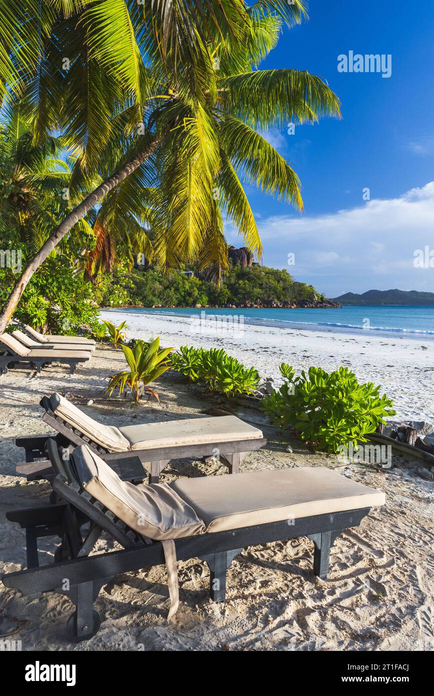 Côte d'Or Beach, île de Praslin, Seychelles. Vue verticale sur le bord de mer avec chaises longues vacantes sous les cocotiers par une journée ensoleillée Banque D'Images