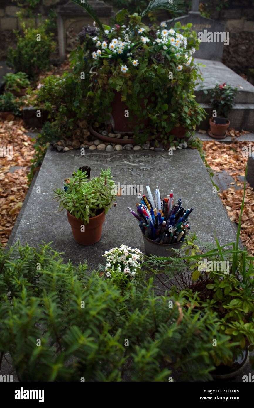 Tombe de la romancière et dramaturge française Marguerite Duras avec pots de stylos Cimetière Montparnasse, Cimetière du Montparnasse, 14e arrondissement Banque D'Images