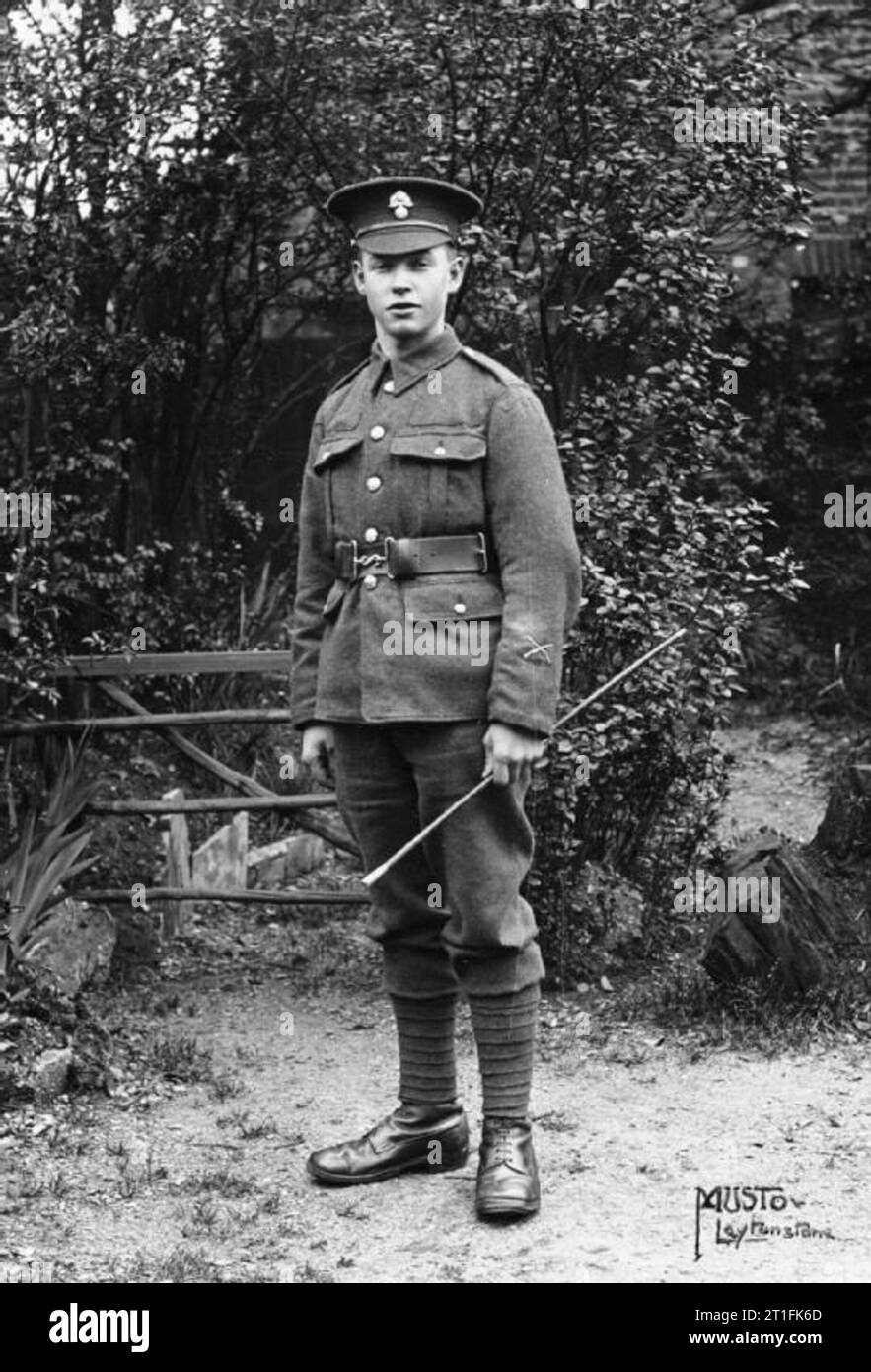 . 2/4ème London Regiment, Royal Fusiliers' Jones, de traverser Leytonstone, Essex, mourut, âgé de 19 ans, le 2 août 1918 à 4 pas de la gare d'évacuation sanitaire, Pernois, de blessures reçues alors que dans l'action. Il est enterré au cimetière britannique, Pernois Halloy-les-Pernois, France. Visages de la Première Guerre mondiale En savoir plus sur ce projet du centenaire de la Première Guerre mondiale à www.1914.org/faces. Cette image est tirée des collections IWM. Le Musée a publié cette image sur une licence - Licence non commerciale L'IWM. Cependant où la photographie n'a pas d'auteur connu, il s'agit de domaine public en vertu de la règle 70 et où ils Banque D'Images