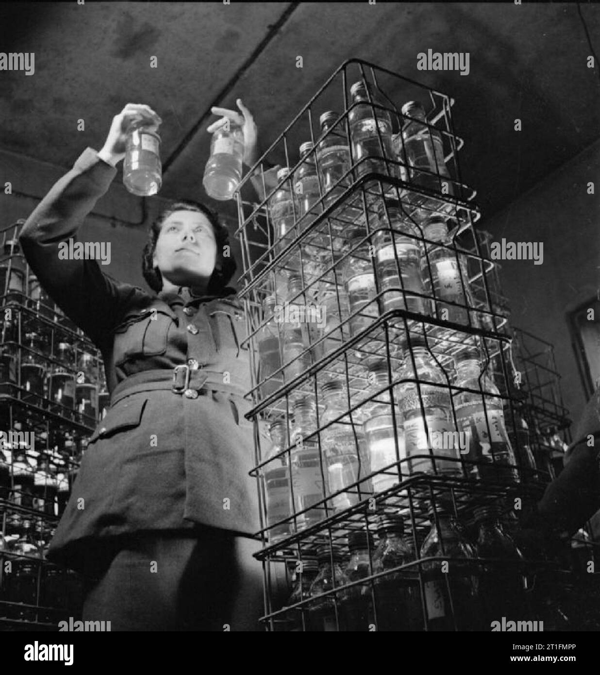 Des soldats médicaux de l'armée britannique avec des véhicules du