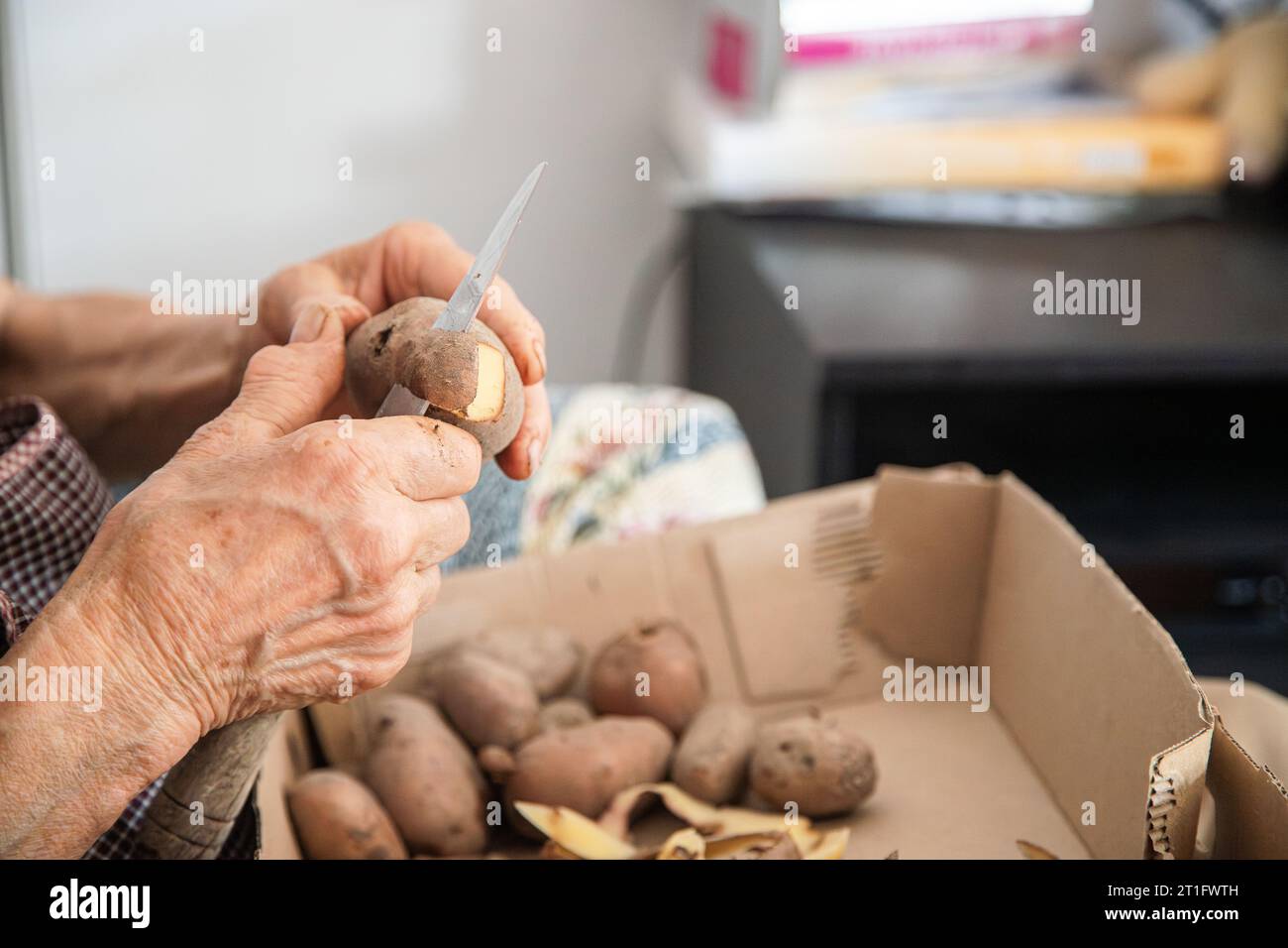 Les mains d'une femme âgée faisant des travaux domestiques de pelage des pommes de terre. Mains âgées avec problèmes articulaires, arthrose. Banque D'Images