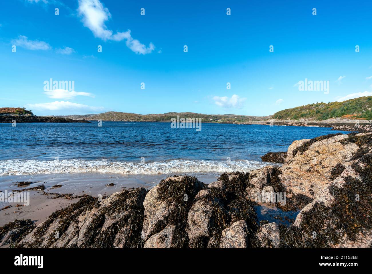 Vous pouvez rejoindre la baie en marchant à travers les bois Culag Banque D'Images