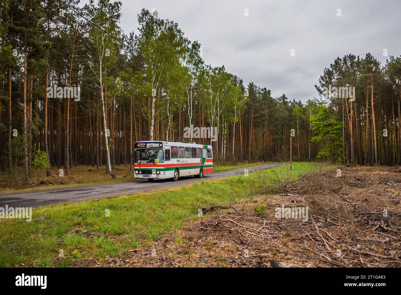 15.05.2019. Pologne, près de Pomorsko. DAB de PKS Zielona Góra, dépôt à Sulechów comme bus scolaire. Banque D'Images