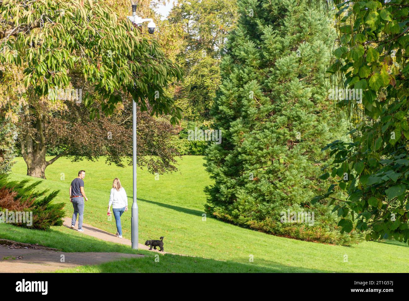 Keynsham Memorial Park, Bath Hill, Keynsham, Somerset, Angleterre, Royaume-Uni Banque D'Images