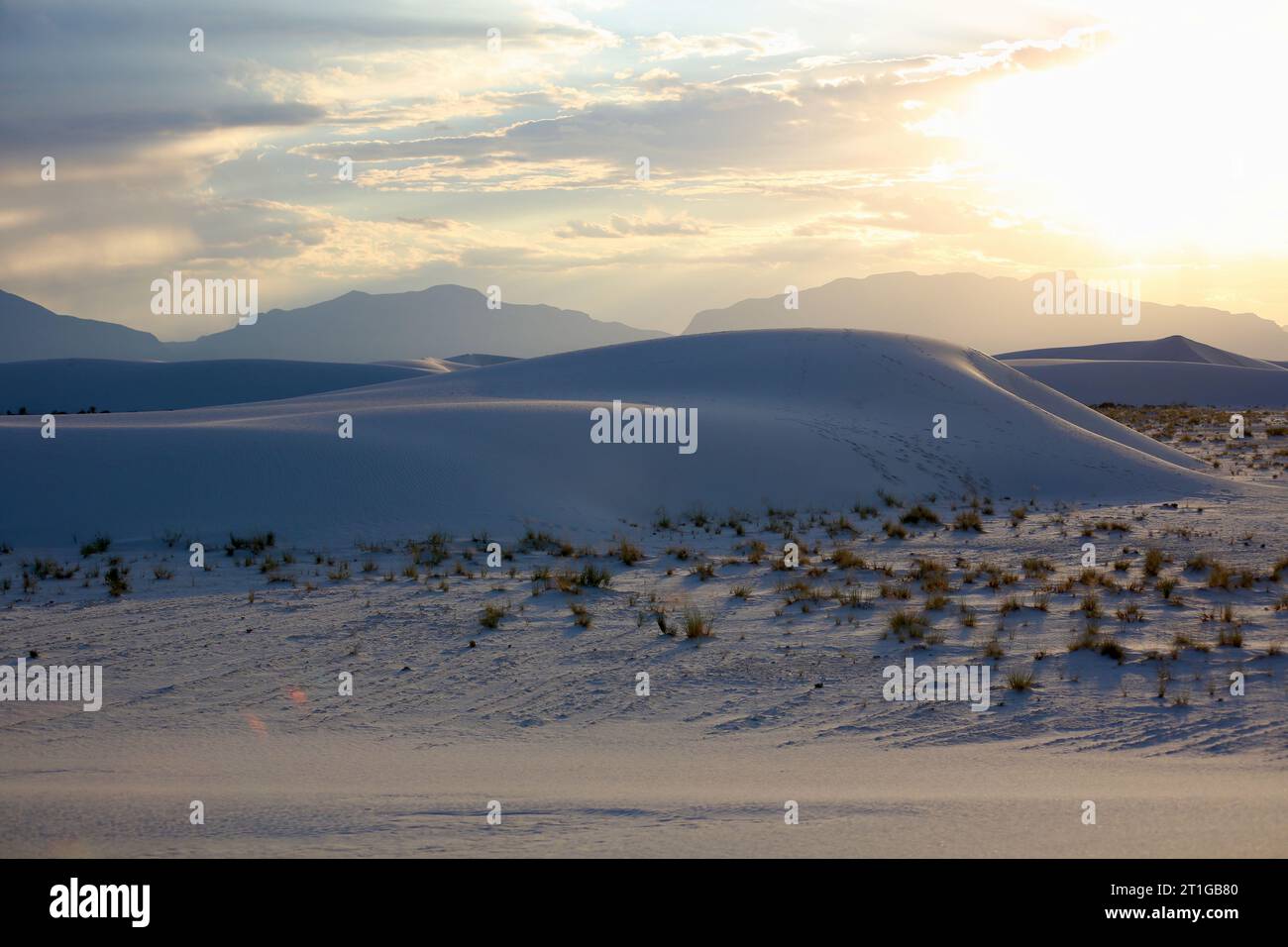 Blue Dunes au coucher du soleil Banque D'Images