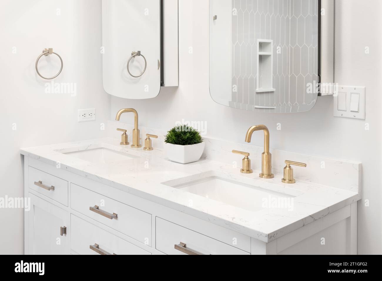 Une salle de bains avec robinets en or, meuble de toilette blanc, une plante assise sur un comptoir en marbre blanc, et un reflet d'une douche de carrelage de piquet. Banque D'Images