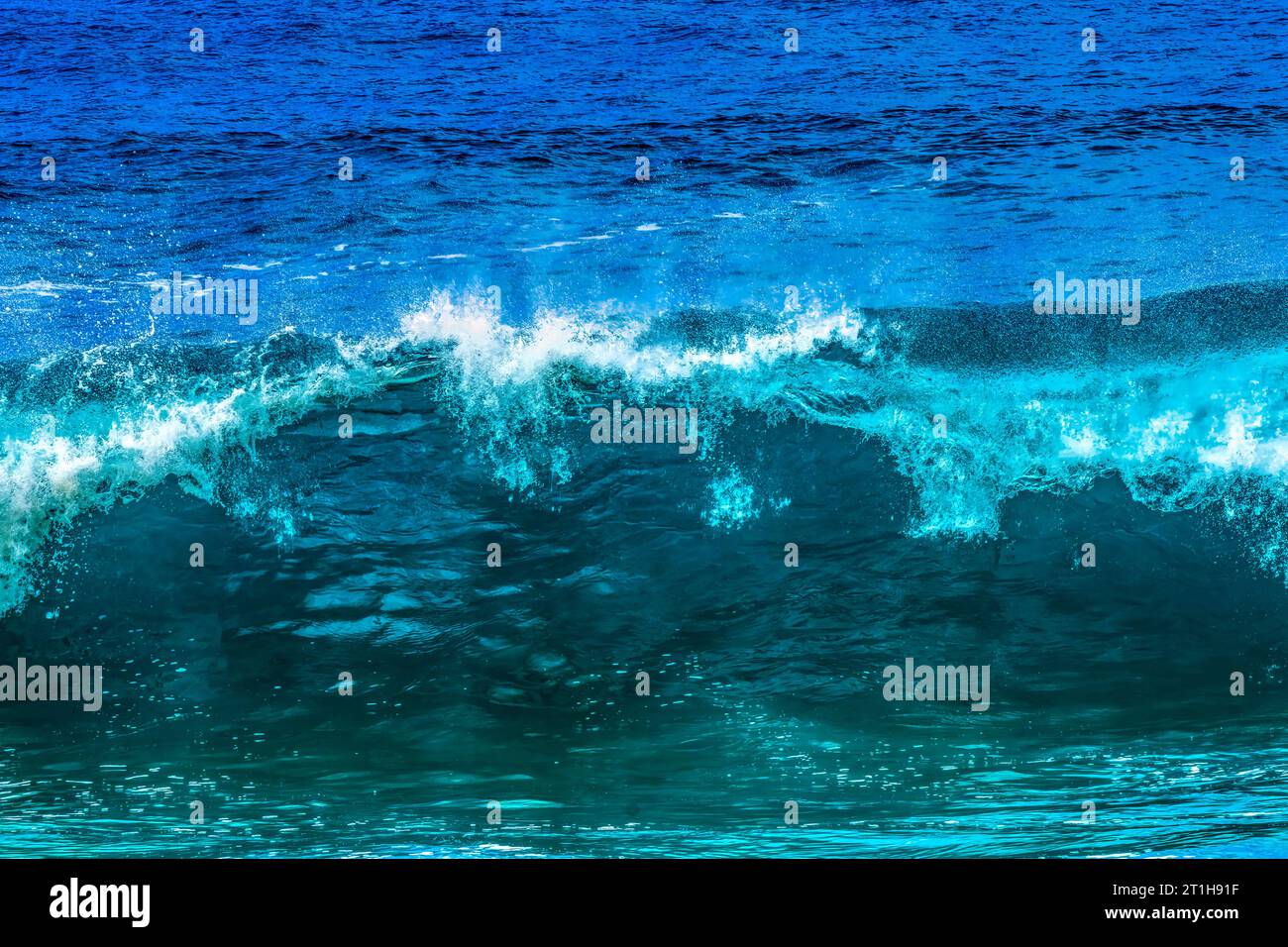 Observation de la grande vague Waimea Bay North Shore Oahu Hawaii. Waimea Bay est célèbre pour le surf des grandes vagues. Ce jour-là, les vagues étaient hautes de 15 à 20 pieds. Banque D'Images