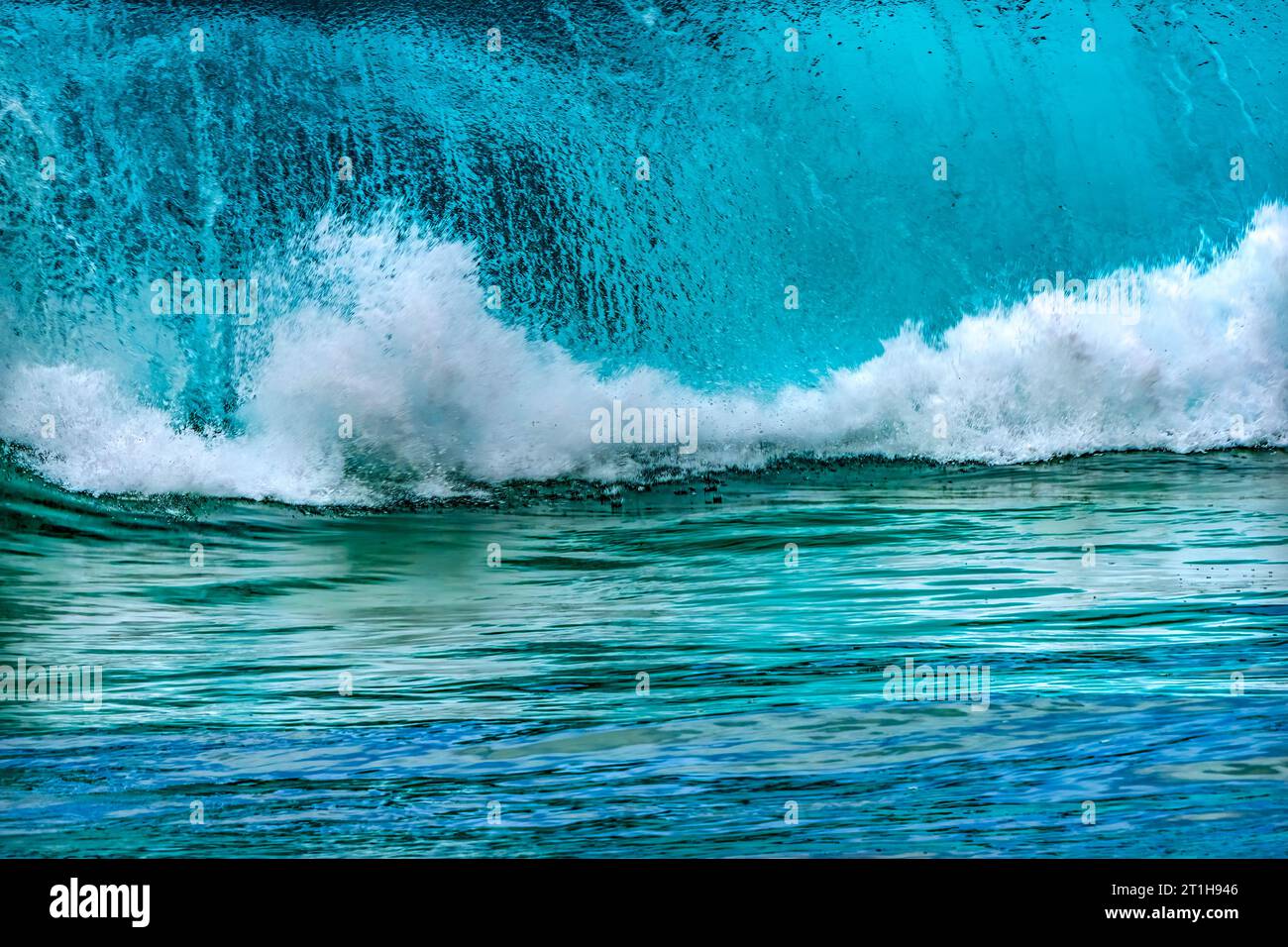 Observation de la grande vague Waimea Bay North Shore Oahu Hawaii. Waimea Bay est célèbre pour le surf des grandes vagues. Ce jour-là, les vagues étaient hautes de 15 à 20 pieds. Banque D'Images