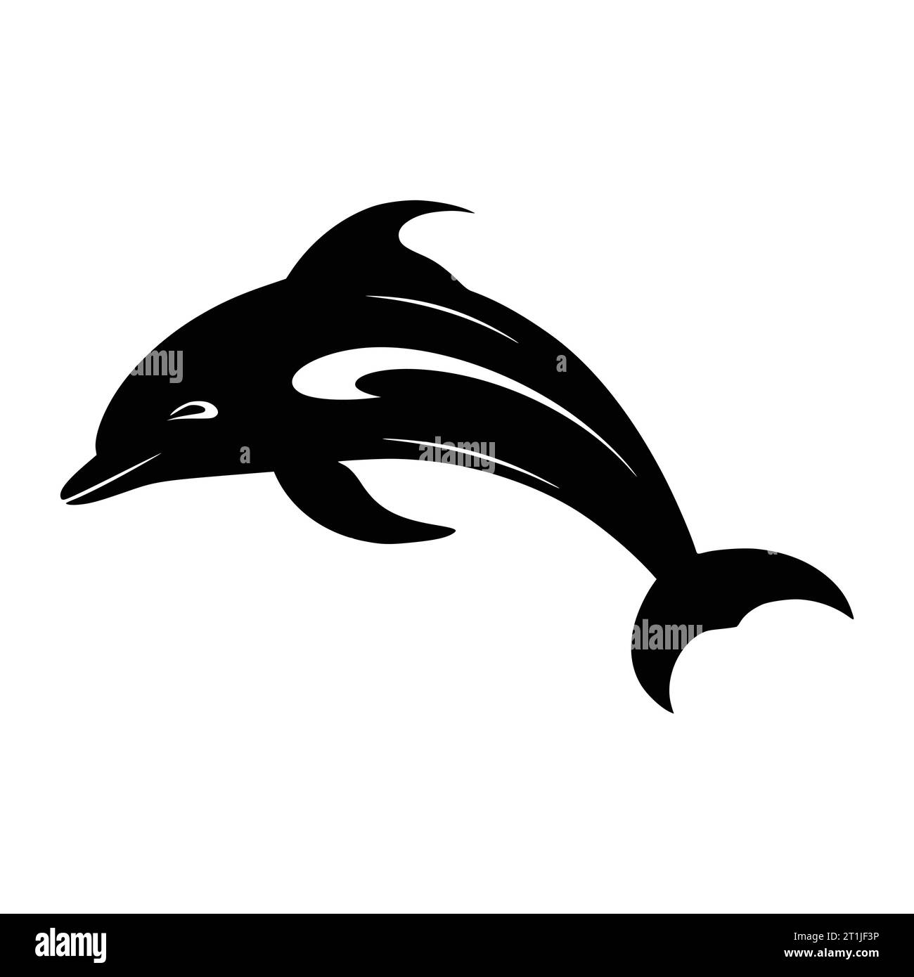 Dauphin dauphin dauphin visage de dauphin Banque d'images noir et blanc