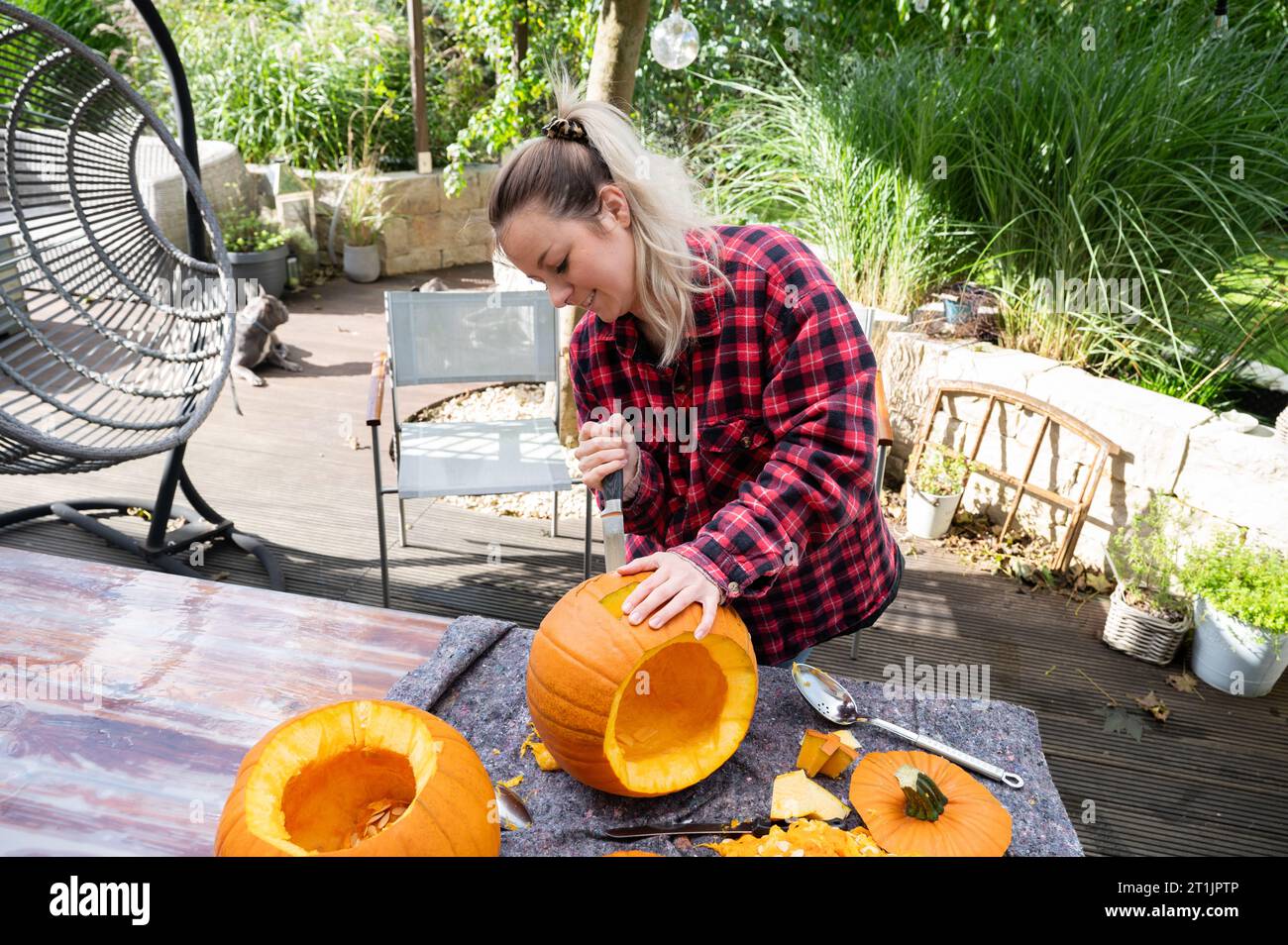 Pour Halloween, une femme blonde coupe un visage dans une citrouille orange avec un chevalier Banque D'Images