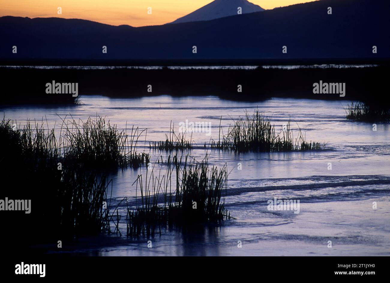 Marsh crépuscule avec Mt Shasta, Klamath inférieur National Wildlife Refuge, en Californie Banque D'Images