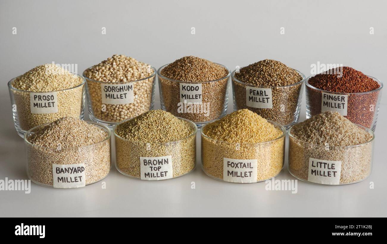 Une seule image montrant les neuf millets. Les millets sont disposés dans des bols étiquetés. Ils sont Jowar, Bajra, Ragi, Jhangora, Barri, Kangni, Ko Banque D'Images