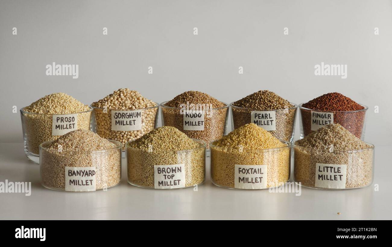 Une seule image montrant les neuf millets. Les millets sont disposés dans des bols étiquetés. Ils sont Jowar, Bajra, Ragi, Jhangora, Barri, Kangni, Ko Banque D'Images