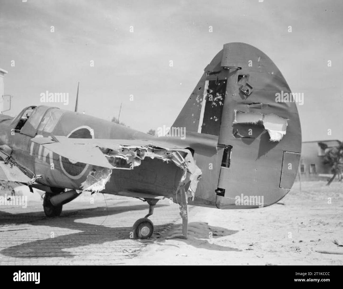 Royal Air Force- l'Italie, les Balkans et le sud-est de l'Europe, 1942-1945. La queue de Curtiss Kittyhawk endommagé Mark IV, FX529, du no 450 Squadron RAAF, qui a été volé à la base à Cervia, Italie, par le commandant de l'escadron, le chef d'Escadron J C Doyle, après avoir été touché par des tirs antiaériens lors d'une sortie d'attaque au sol au cours de la 8ème Armée avant. Banque D'Images