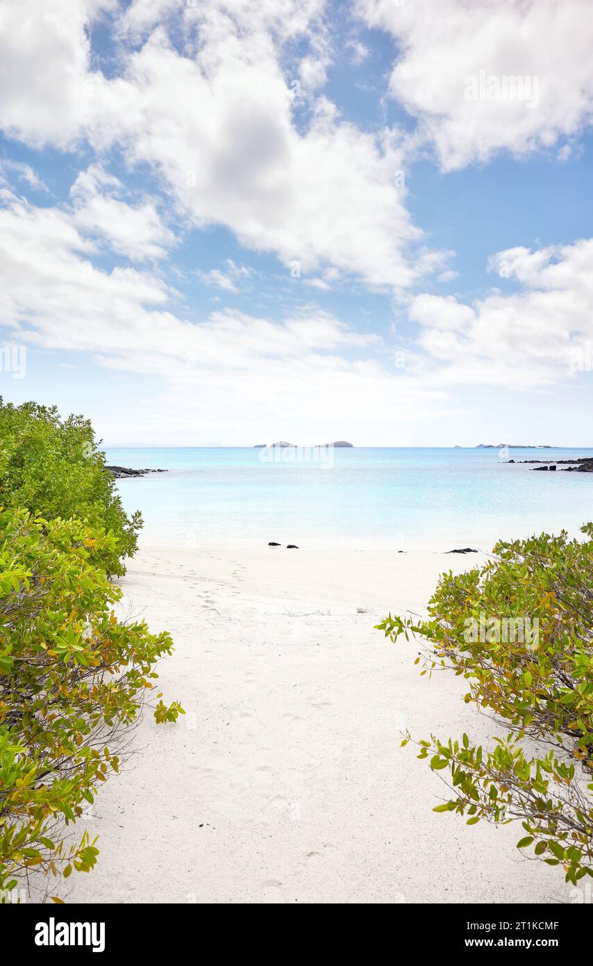 Plage immaculée sur une île inhabitée, îles Galapagos, Équateur. Banque D'Images