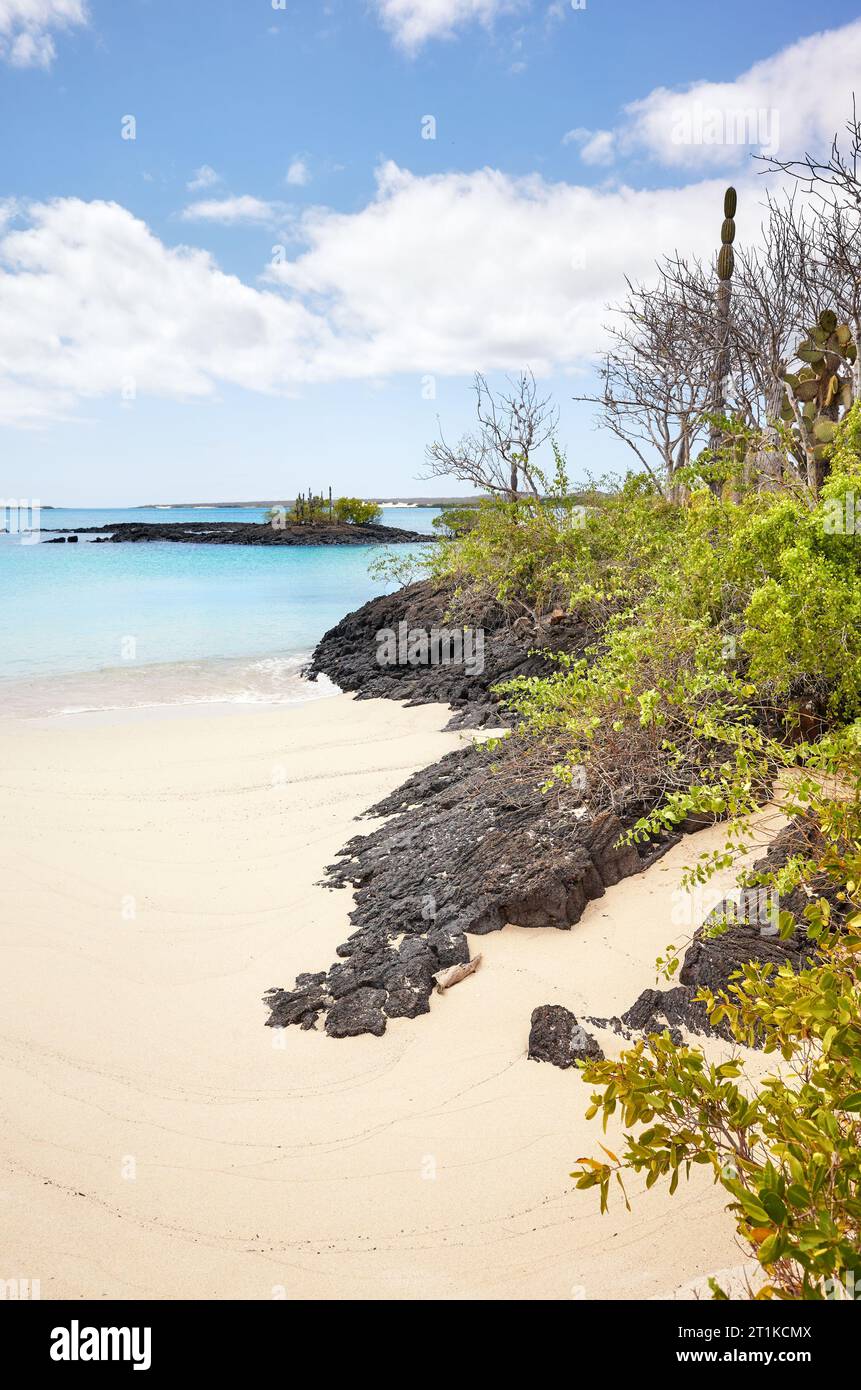 Plage immaculée sur une île inhabitée, îles Galapagos, Équateur. Banque D'Images