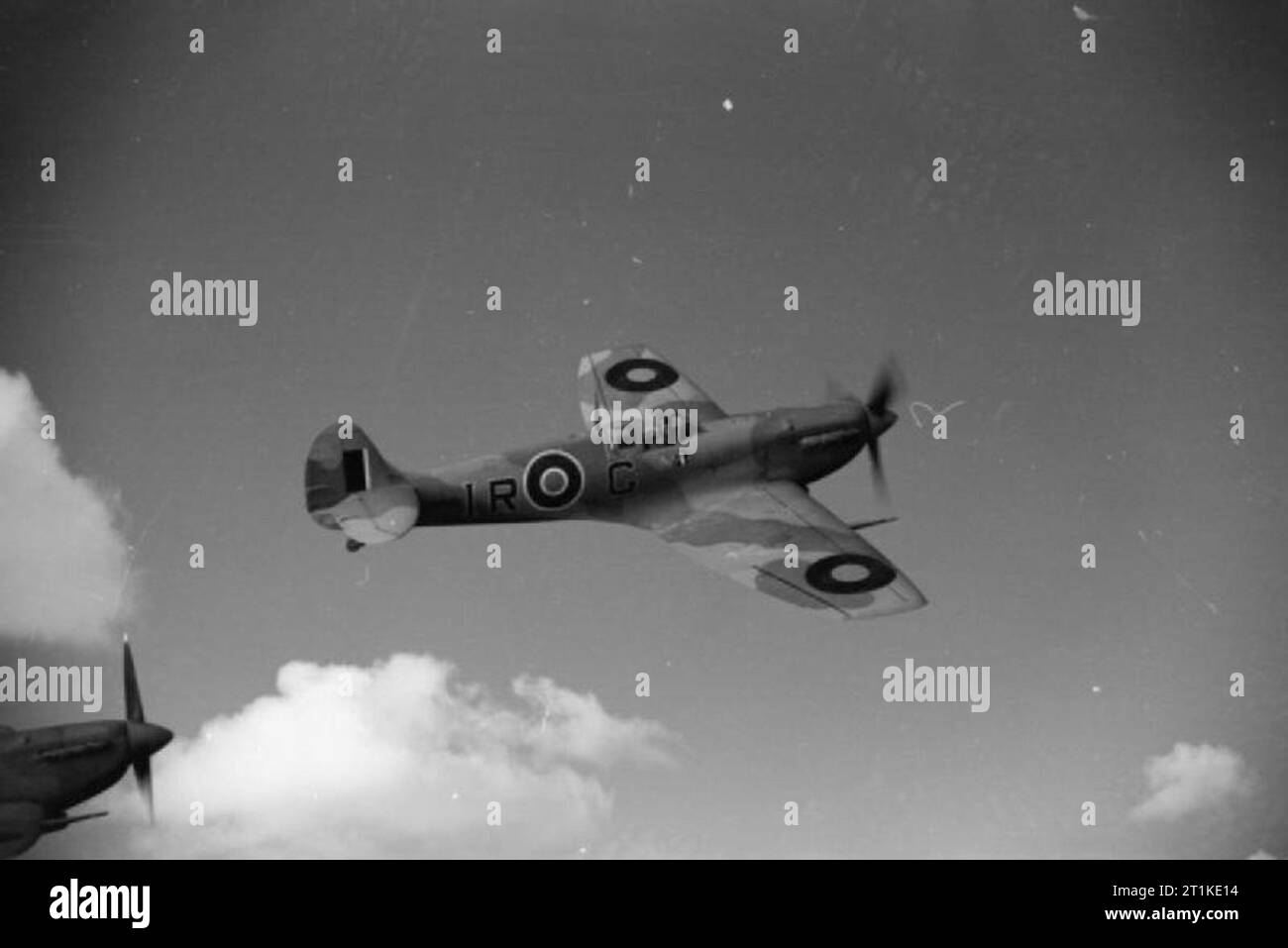 Les avions de la Royal Air Force, 1939-1945- Supermarine Spitfire. LF Spitfire Mark V B, AB502 'IR-G', l'avion personnel du commandant d'Escadre J R 'Large' Gleed, n° 244 Chef de l'Escadre basée à Bu Grara, Tunisie, en vol au large de l'île de Djerba. L'aéronef est équipé d'un filtre à air et d'Aboukir a "clipped wings' afin d'aider les pays à faible niveau de rendement Banque D'Images