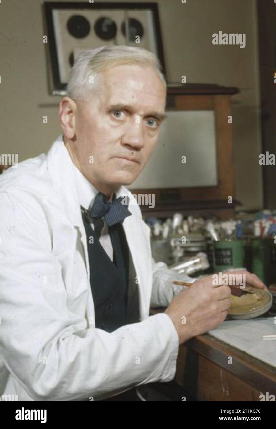 La production synthétique de la pénicilline le Professeur Alexander Fleming, titulaire de la Chaire de bactériologie à l'Université de Londres, qui fut le premier à découvrir le moule la pénicilline notatum. Ici dans son laboratoire à St Mary's, Paddington, Londres. Banque D'Images