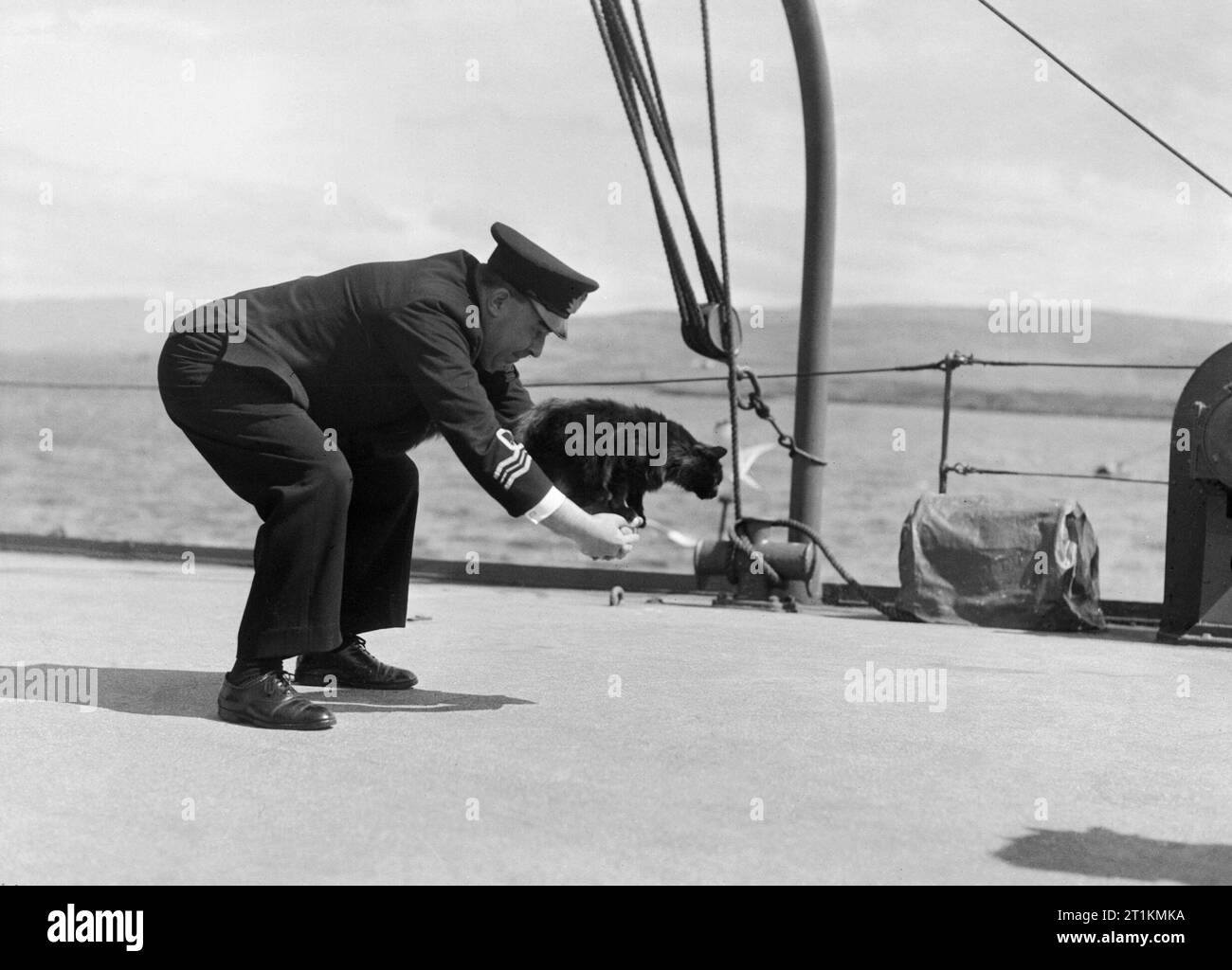 Le Lieutenant Commander R H Palmer OBE, RNVR joue avec Peebles, le chat ...