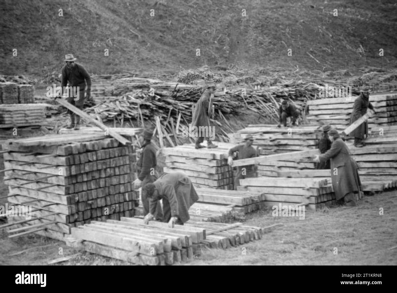 L'Unité de foresterie Honduras britannique en Grande-Bretagne, 1941 Membres de l'Unité de foresterie Honduras britannique l'empilage des planches de bois dans une forêt. Banque D'Images