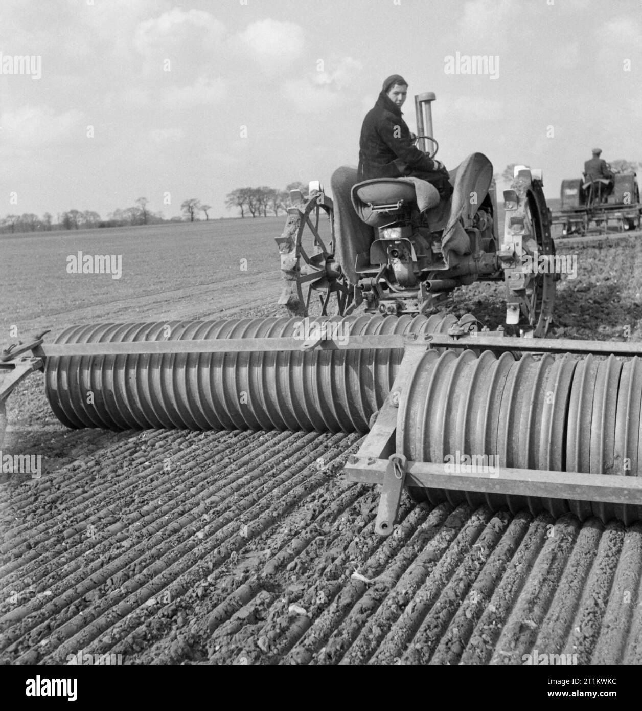 Les travailleurs de Alston's farm à Uphall, East Anglia, utiliser un rouleau Cambridge tracté pour créer la plantation satellite prêt pour une récolte de betteraves à sucre, 1943. Les travailleurs agricoles à M. J. Alston's farm à Uphall, East Anglia, utiliser des rouleaux Cambridge tracté pour créer des canaux de plantation dans le sol prêt en préparation pour une récolte de betteraves à sucre. Banque D'Images