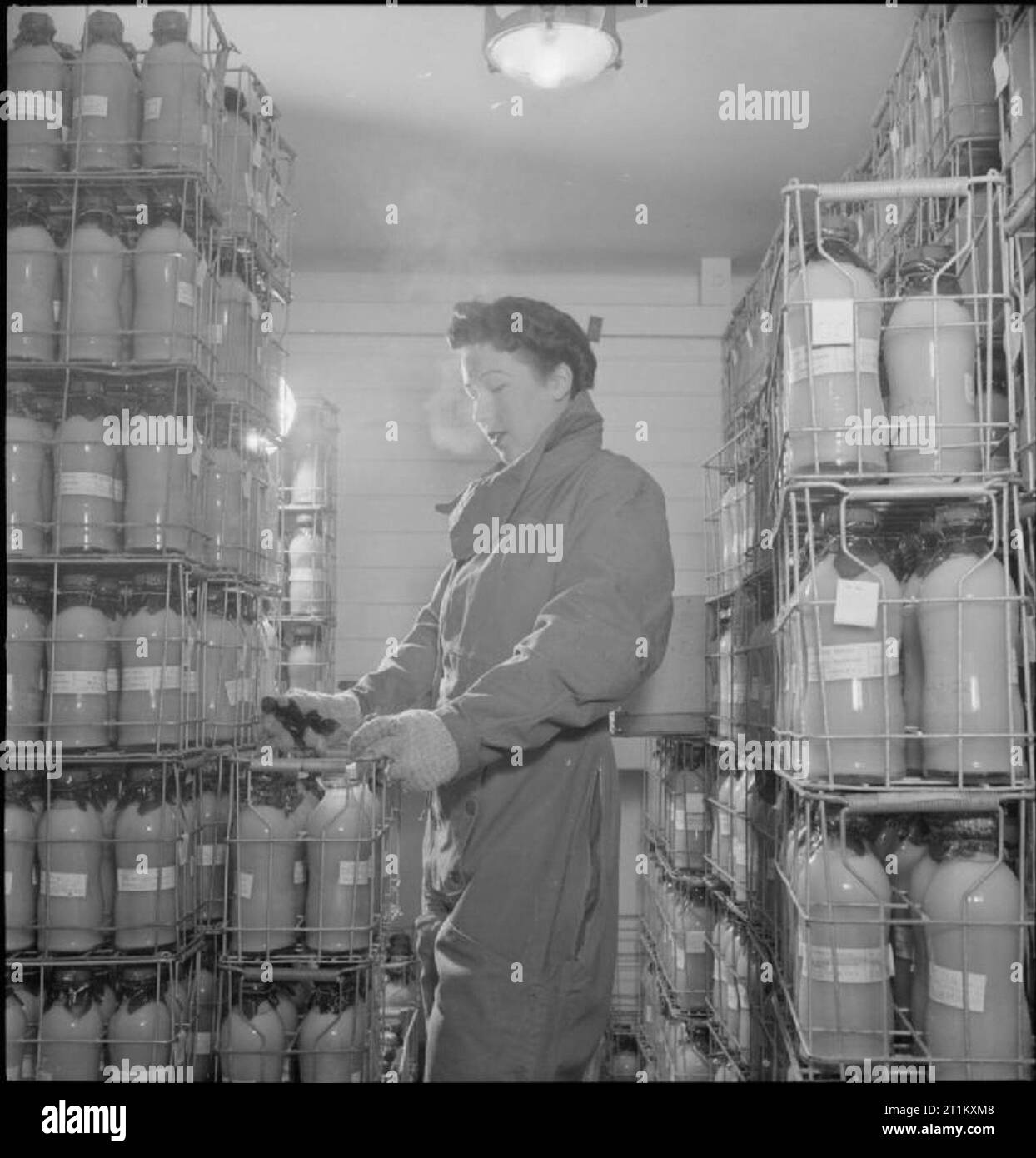 Unité de séchage du sang- de traitement du sang dans le laboratoire, Cambridge, Angleterre, RU, 1943 Un membre du personnel de l'unité de séchage du sang à l'Université de Cambridge, le port de gants de laine et trousse de vol pour se protéger contre le froid intense, les transferts de bouteilles le plasma et le sérum de la vrille-gel machine à la chambre froide. Cette salle de stockage est maintenu à 25 degrés centigrade et le sang est conservé ici jusqu'à ce qu'il est placé dans la chambre de séchage sous vide. Banque D'Images