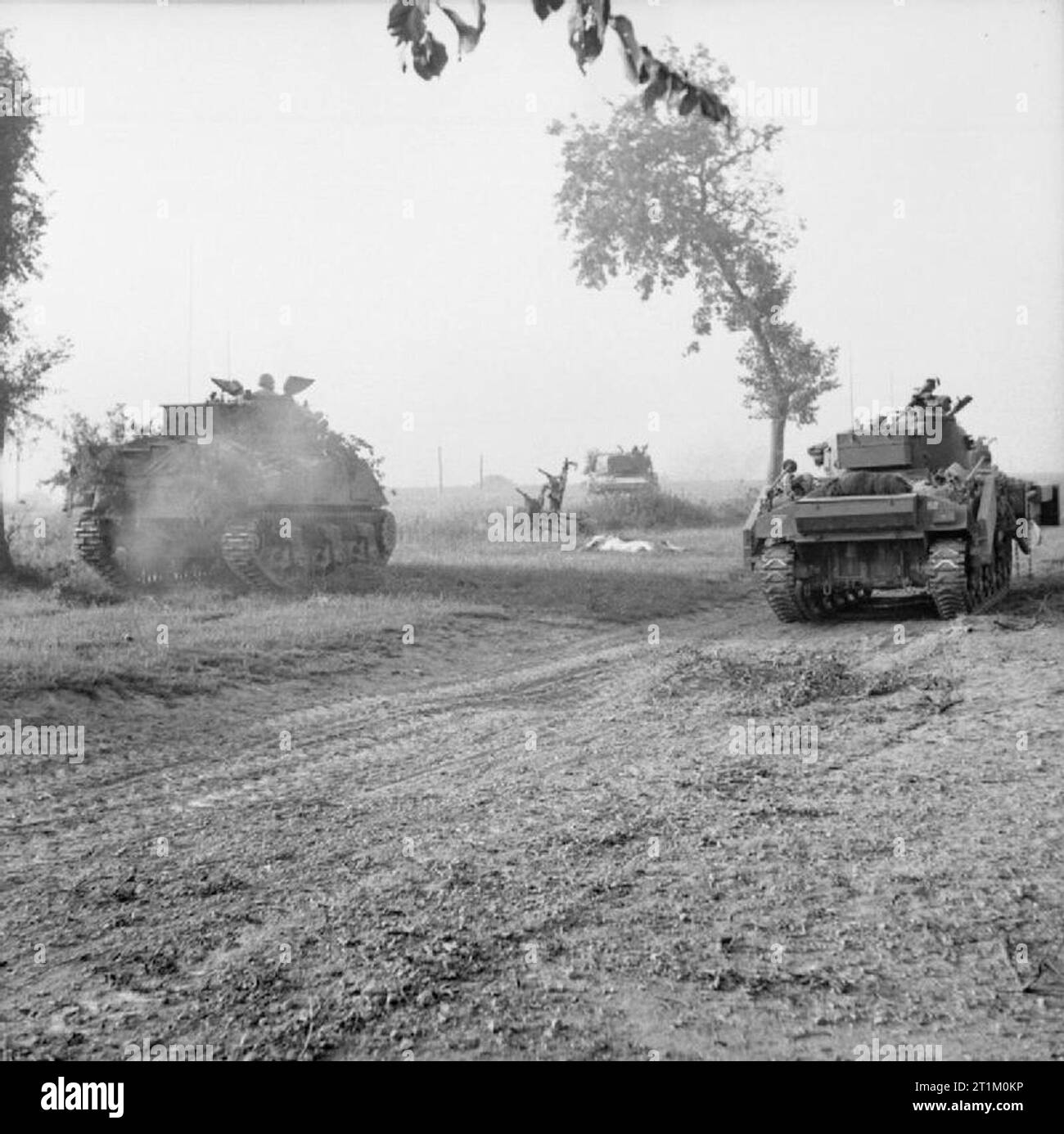 L'Armée britannique en Normandie 1944 Crabe Sherman réservoirs à fléau à l'avance au sud d'Escoville lors de l'opération 'Goodwood', 18 juillet 1944. Banque D'Images