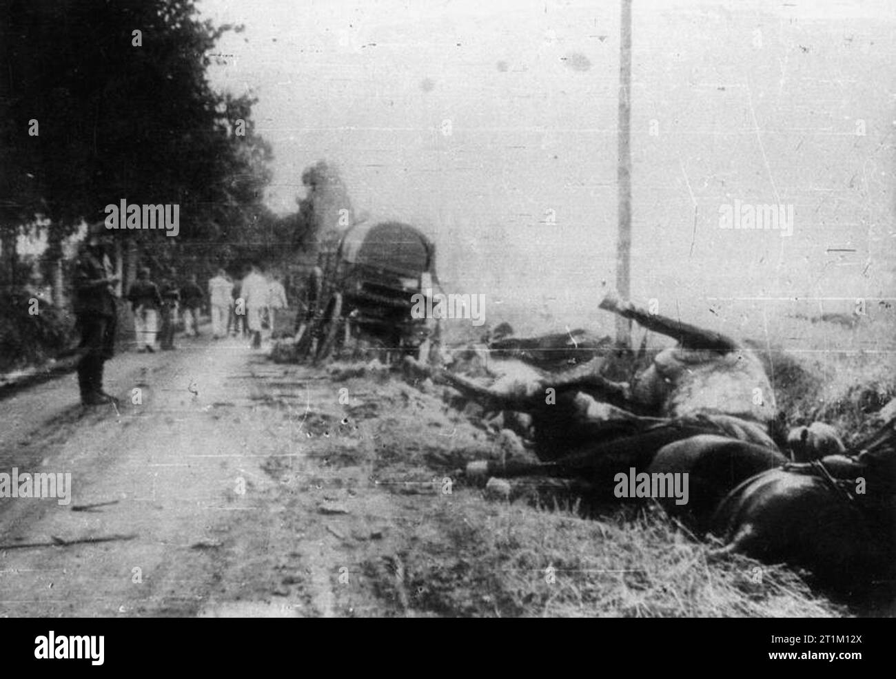 L'invasion germano-soviétique de la Pologne, 1939 mort et destruction sur le bord de la route à Kock, où la dernière bataille de la campagne polonaise entre le groupe opérationnel indépendant polonais "Polesie" commandé par le général Franciszek Kleeberg et le XIVe corps motorisé allemand dirigé par le général Gustav von Wietersheim, a eu lieu. Entre le 29 et le 30 septembre, cette unité polonaise a également été engagée dans des batailles victorieuses contre l'Armée rouge dans les villages de Milanów et jab?o?. Banque D'Images