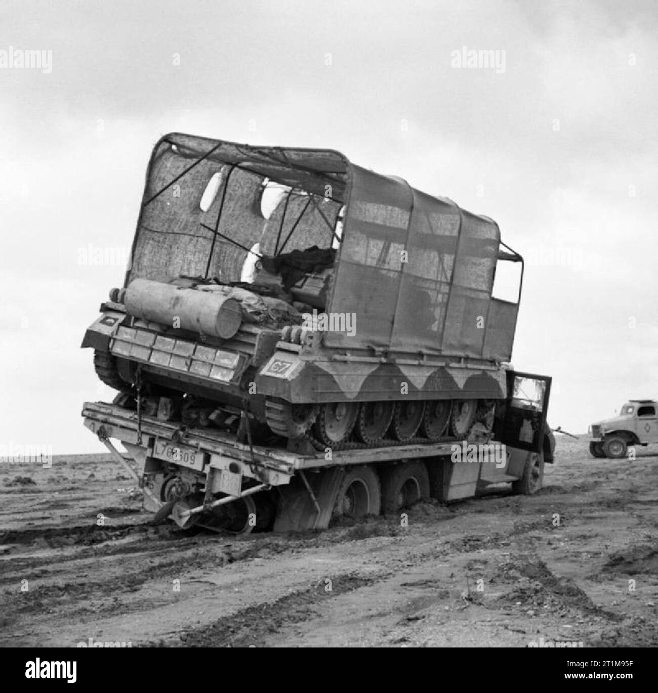 L'Armée britannique en Afrique du Nord 1942 Un transporteur transportant un Crusader avec 'soleil' bouclier de camouflage camion enlisé sur sol mou, 29 mars 1942. Banque D'Images