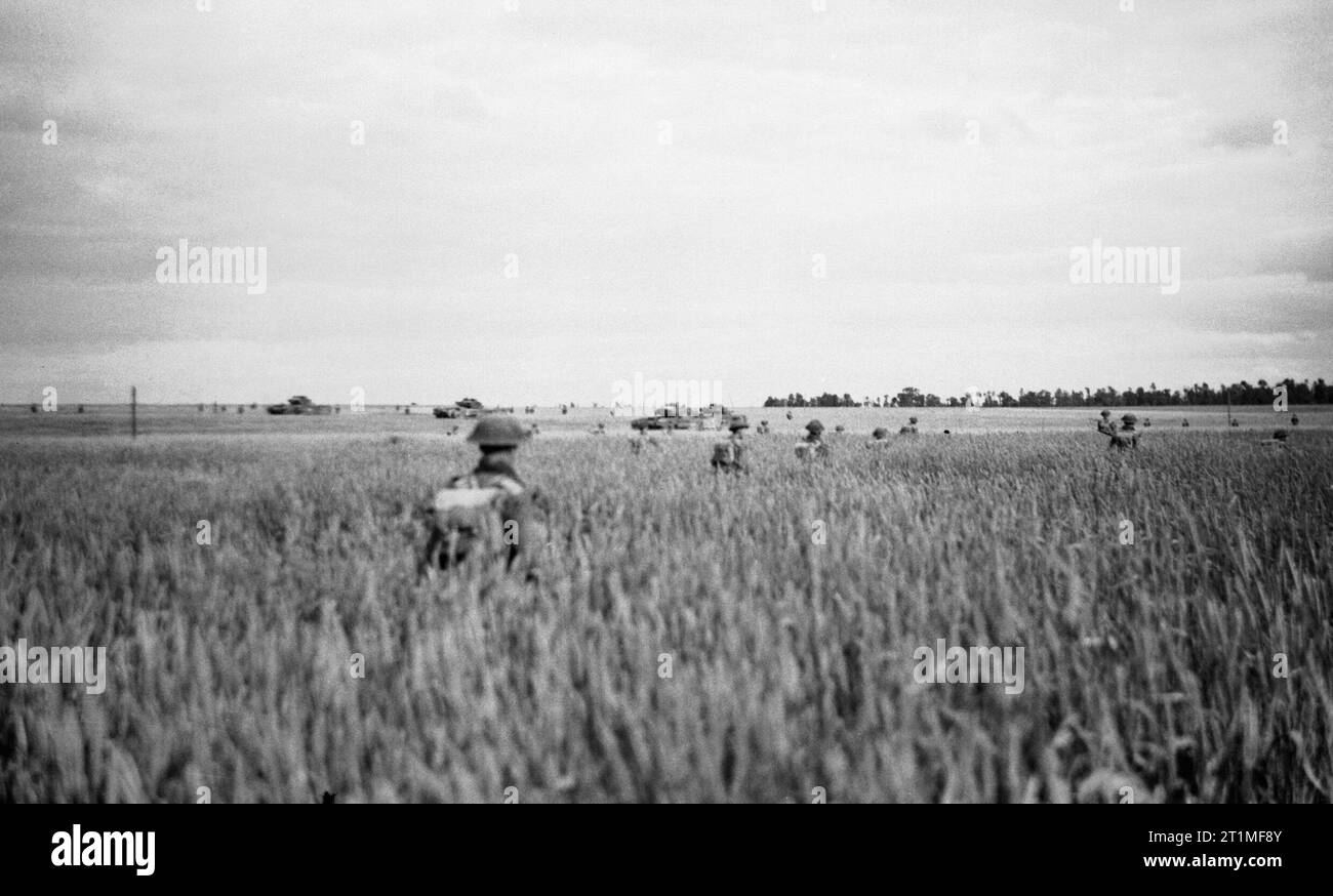 D'infanterie (15e division écossaise) avance par taille-haute maïs, appuyé par des chars Churchill du 7e Royal Tank Regiment durant l'opération "Epsom", Normandie, 28 juin 1944. D'infanterie (15e division écossaise) avance par taille-haute maïs, appuyé par des chars Churchill du 7e Royal Tank Regiment durant l'opération "Epsom", 28 juin 1944. Banque D'Images