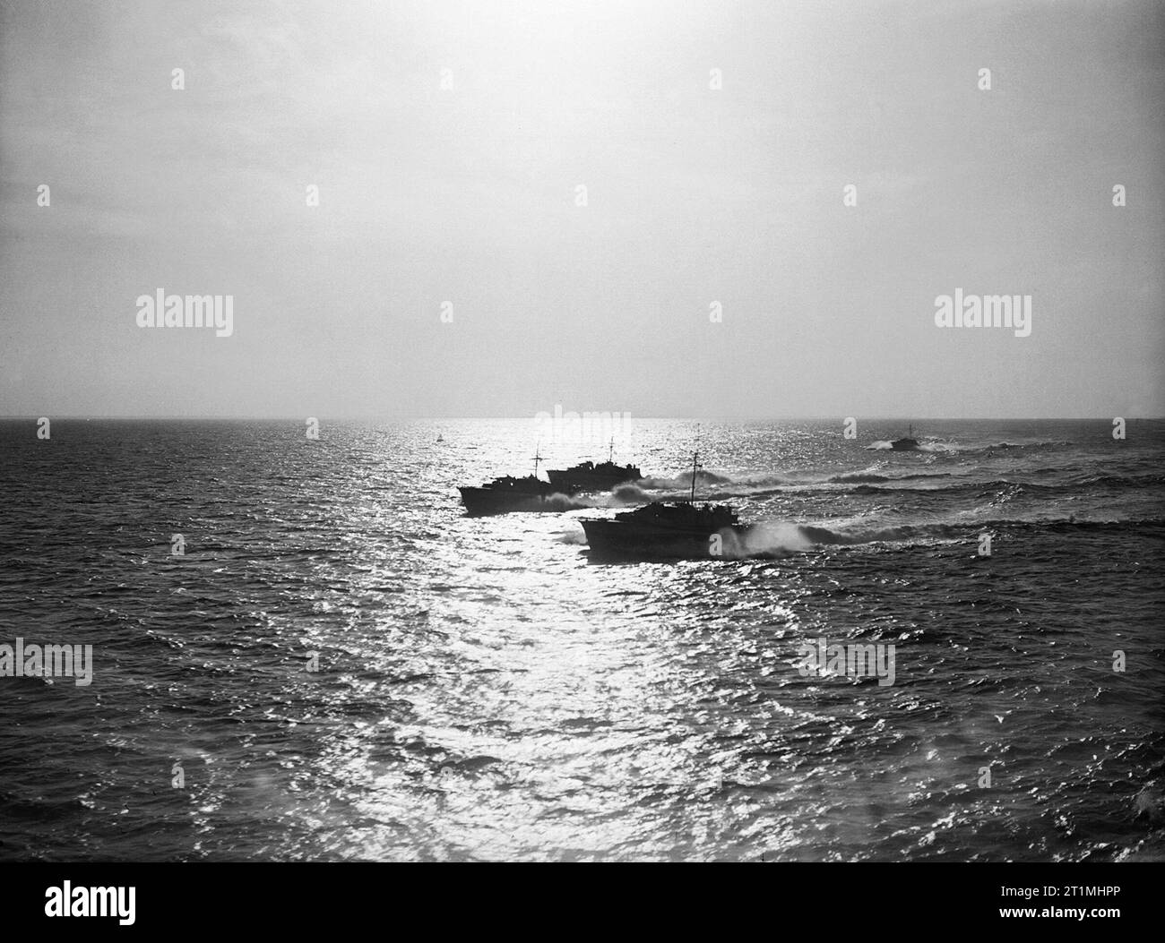 Vedettes de la Marine royale (motor torpedo boats) de retour d'une aube E-voile patrouille au large de Cherbourg, juin 1944. Silhouetté par le soleil, des torpilleurs à moteur de revenir après l'aube d'une anti-E-voile patrouille au large de Cherbourg. Banque D'Images