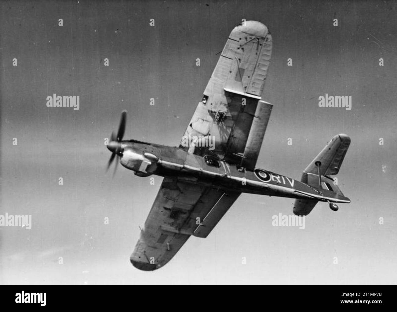 La Royal Navy pendant la Seconde Guerre mondiale avions Fairey Barracuda II de l'Escadron 814 de la Fleet Air Arm, peeling off', montrant clairement le blister de l'observateur, la plongée distinctif, le haut des freins, et l'empennage (ci-dessous la plaquette) L'un des ergots dans laquelle l'accélérateur / catapulte s'engage. Photographie prise du porte-avions HMS VENERABLE. Banque D'Images