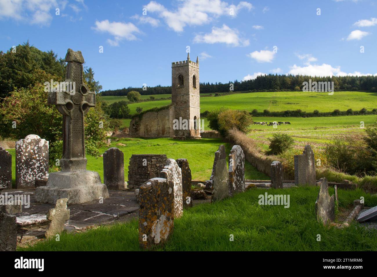 Croix haute, ruine de l'église et cimetière Killamery, Kilkenny, Irlande Banque D'Images