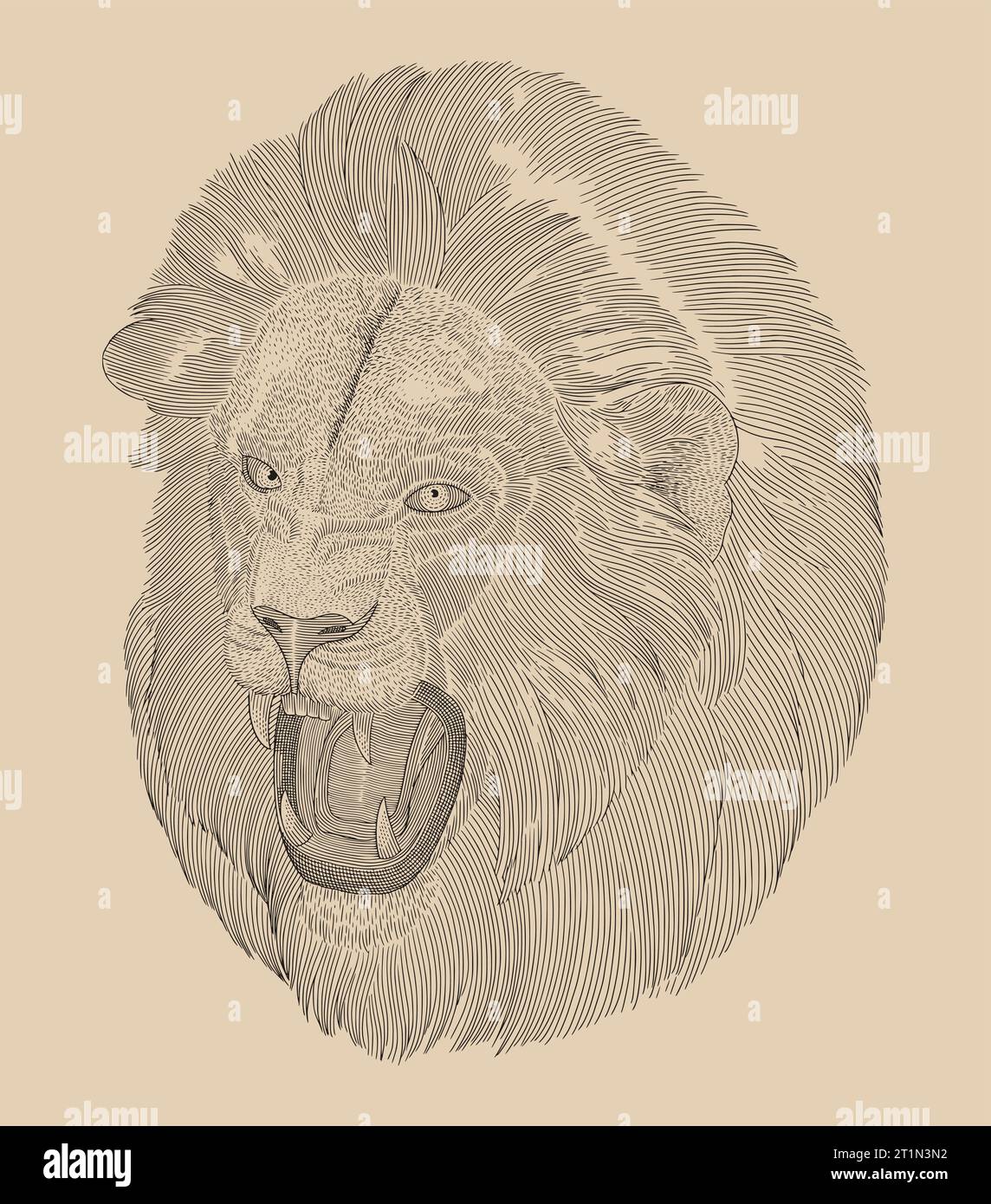 Portrait d'une tête de lion agressive, illustration de style dessin gravure Vintage Illustration de Vecteur