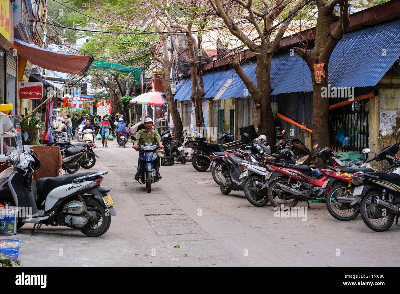 Cat Ba, Vietnam. Entrée au marché. Banque D'Images