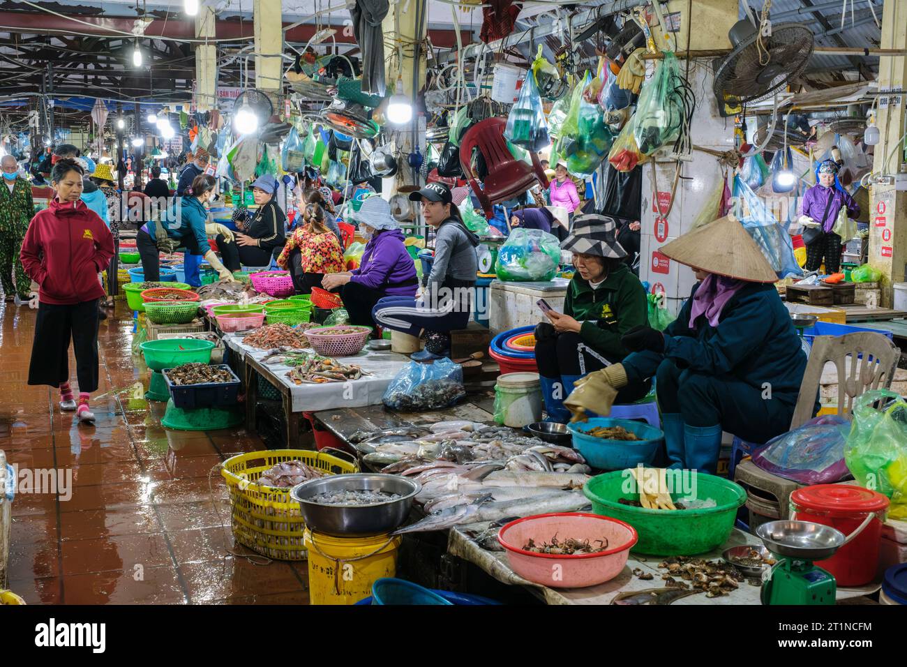 Cat Ba, Vietnam. Section fruits de mer du marché, tôt le matin. Banque D'Images