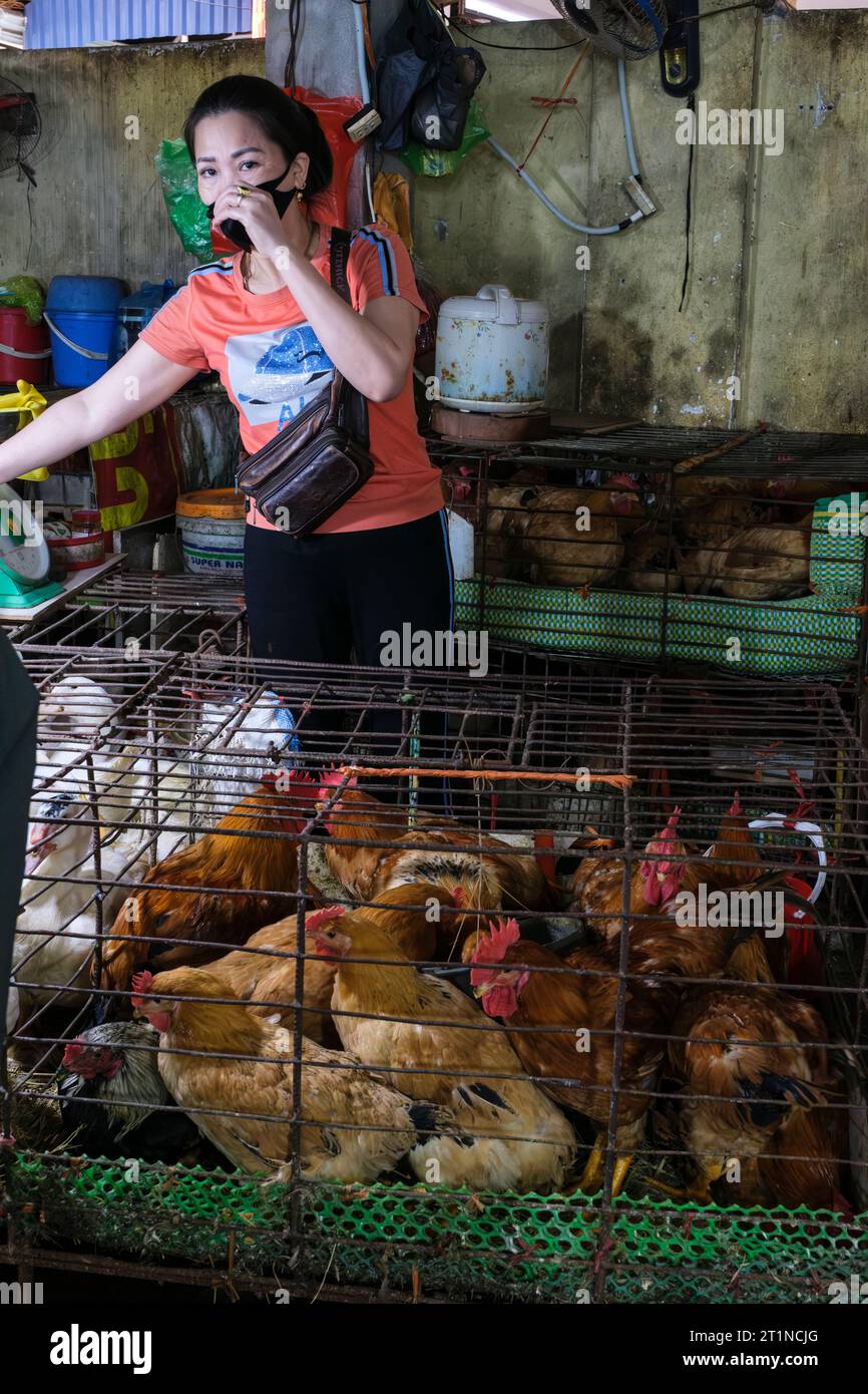 Cat Ba, Vietnam. Femme vendant des poulets sur le marché. Banque D'Images