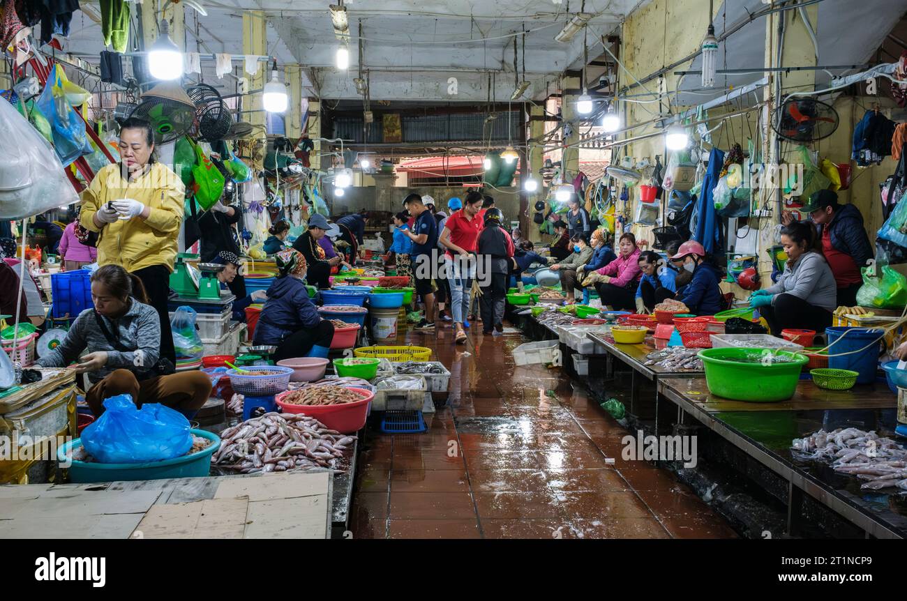 Cat Ba, Vietnam. Scène tôt le matin dans la section fruits de mer du marché. Banque D'Images