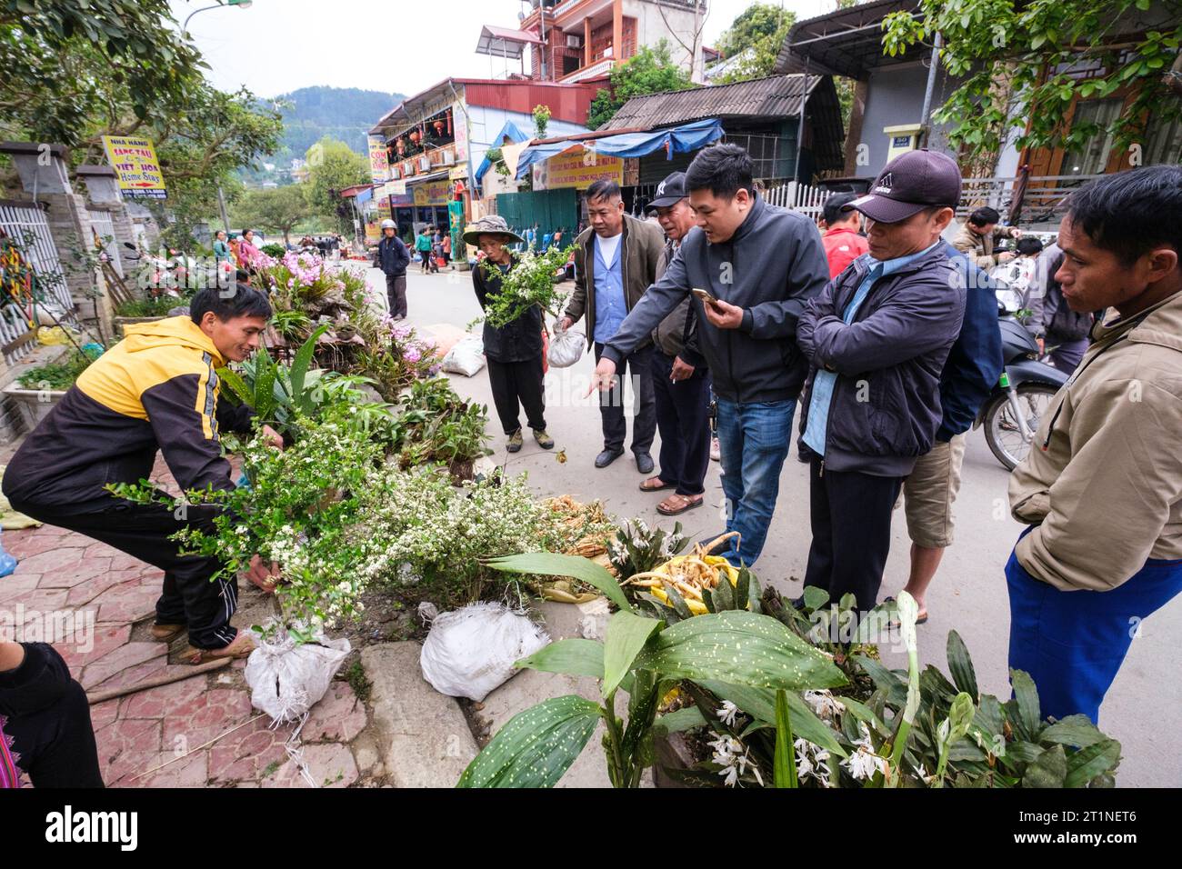 Marché du dimanche bac Ha, Vietnam. Fournisseur de fleurs et clients potentiels. Province de Lao Cai. Banque D'Images
