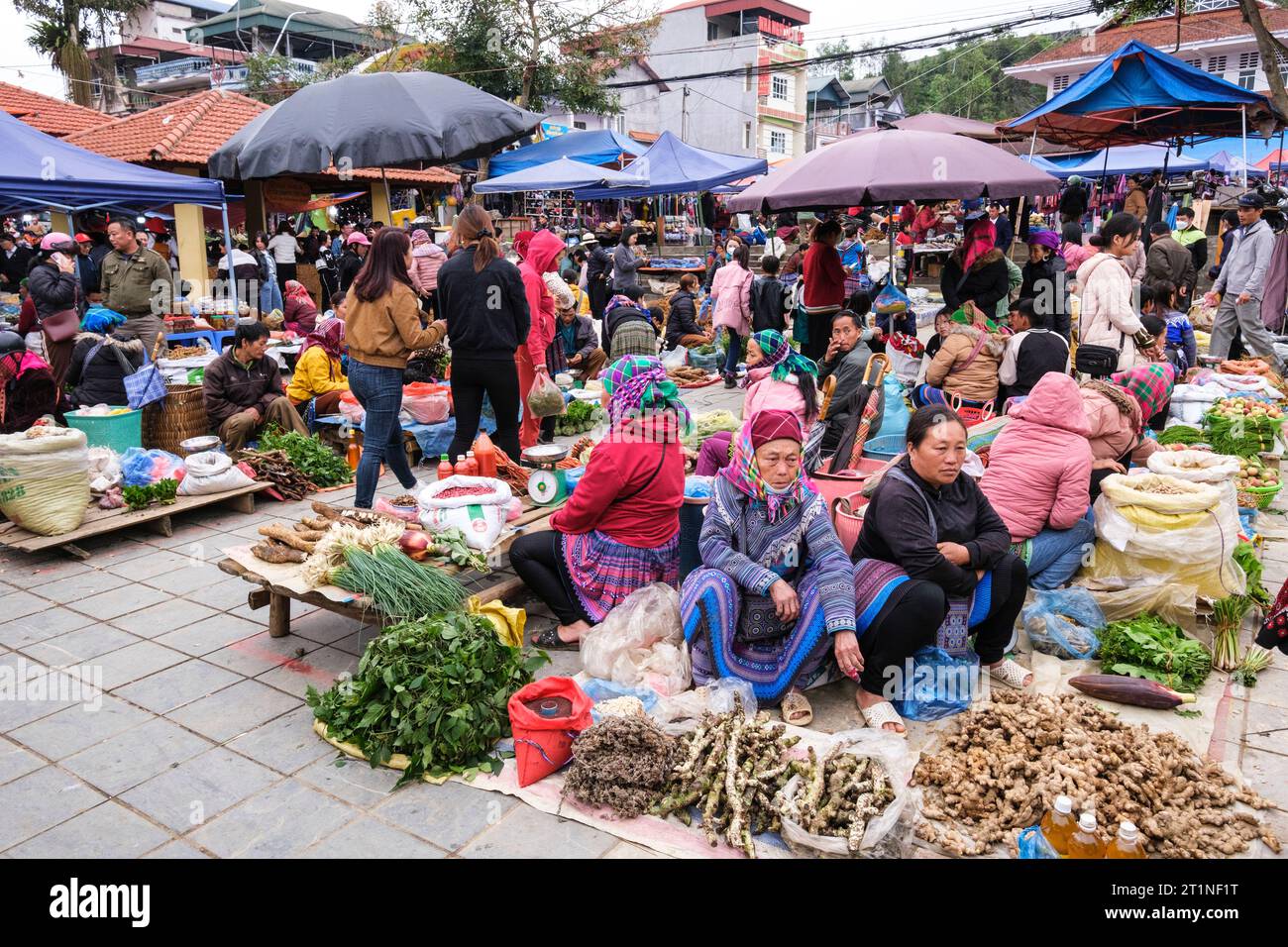 Bac Ha Sunday Market Scene, Vietnam. Province de Lao Cai. Banque D'Images