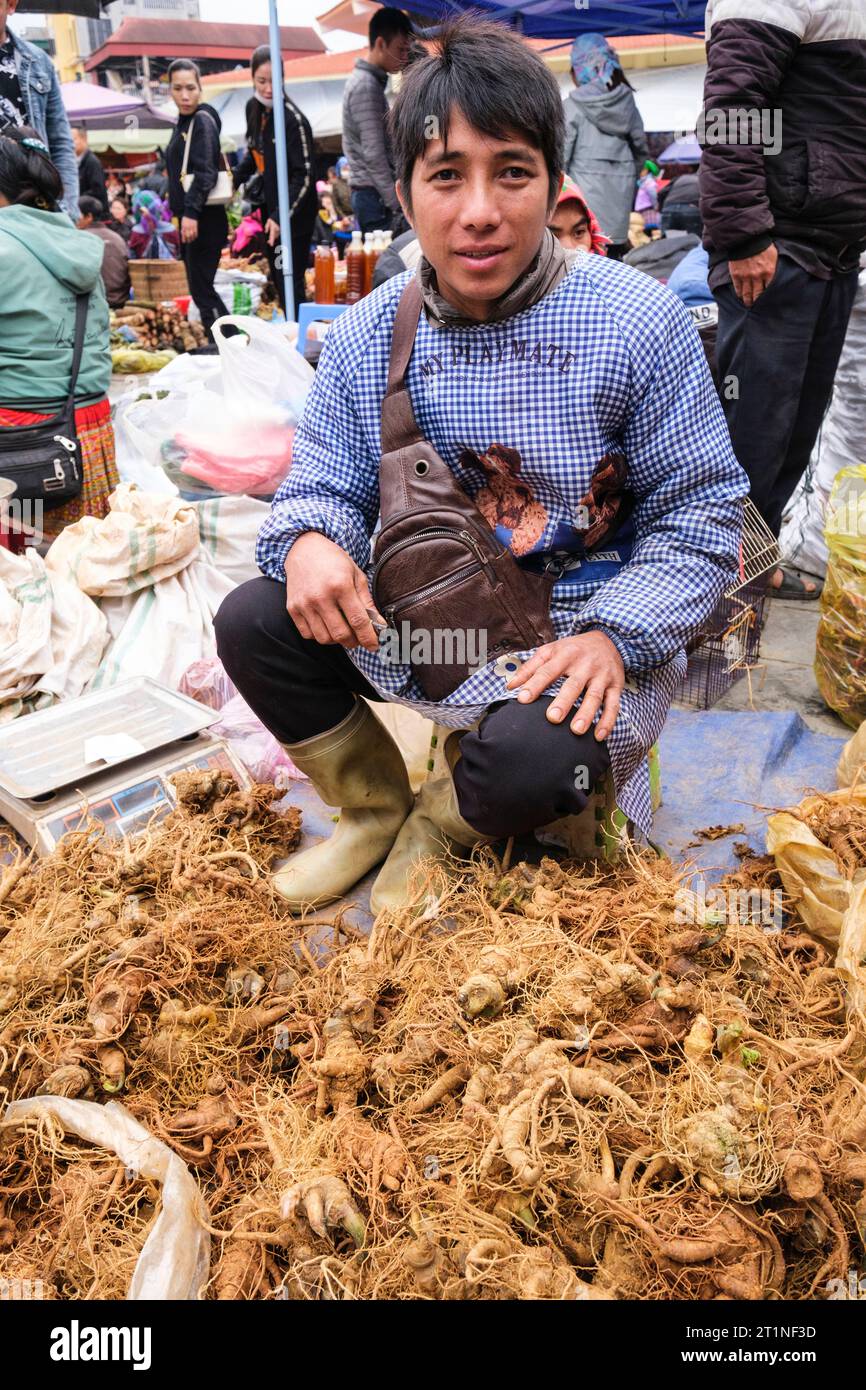 Marché du dimanche bac Ha, Vietnam. Jeune homme vendant du ginseng vietnamien. Province de Lao Cai. Banque D'Images
