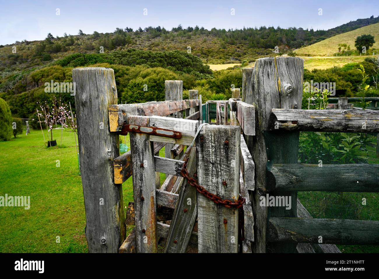 Stocks à gauche de la ferme d'origine à Palmers Beach sur l'île de la Grande Barrière, Nouvelle-Zélande. Banque D'Images