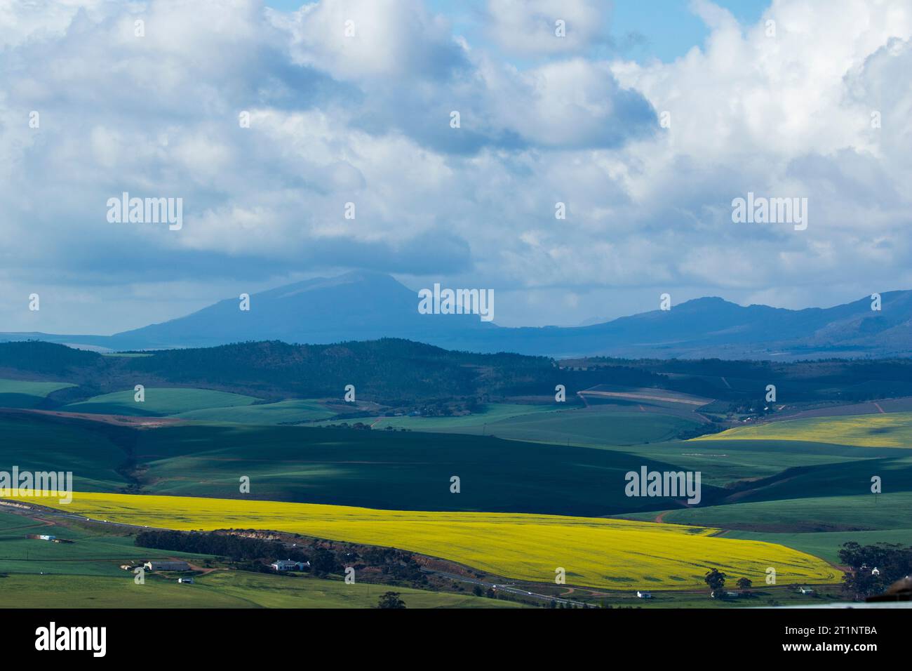 Champ de colza et la ferme au milieu de la vallée entourée de collines Banque D'Images